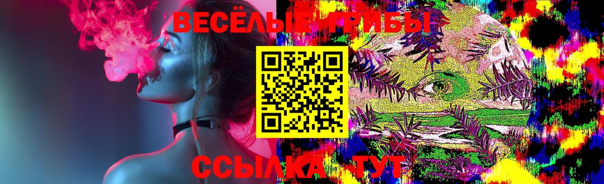 Галлюциногенные грибы Psilocybine cubensis Волгоград