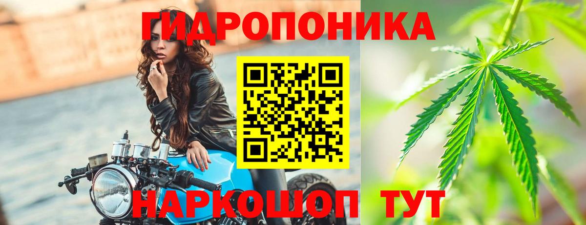 Волгоград  Марихуана конопля  Вход с VPN  Канабис Ganja  Шишки марихуана индика 